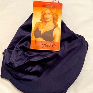 Lilyette Minimizer Bra 42D